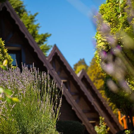 Cabanas Antilhue San Martín de los Andes Kültér fotó